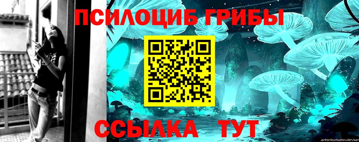 Галлюциногенные грибы Cubensis Калининград